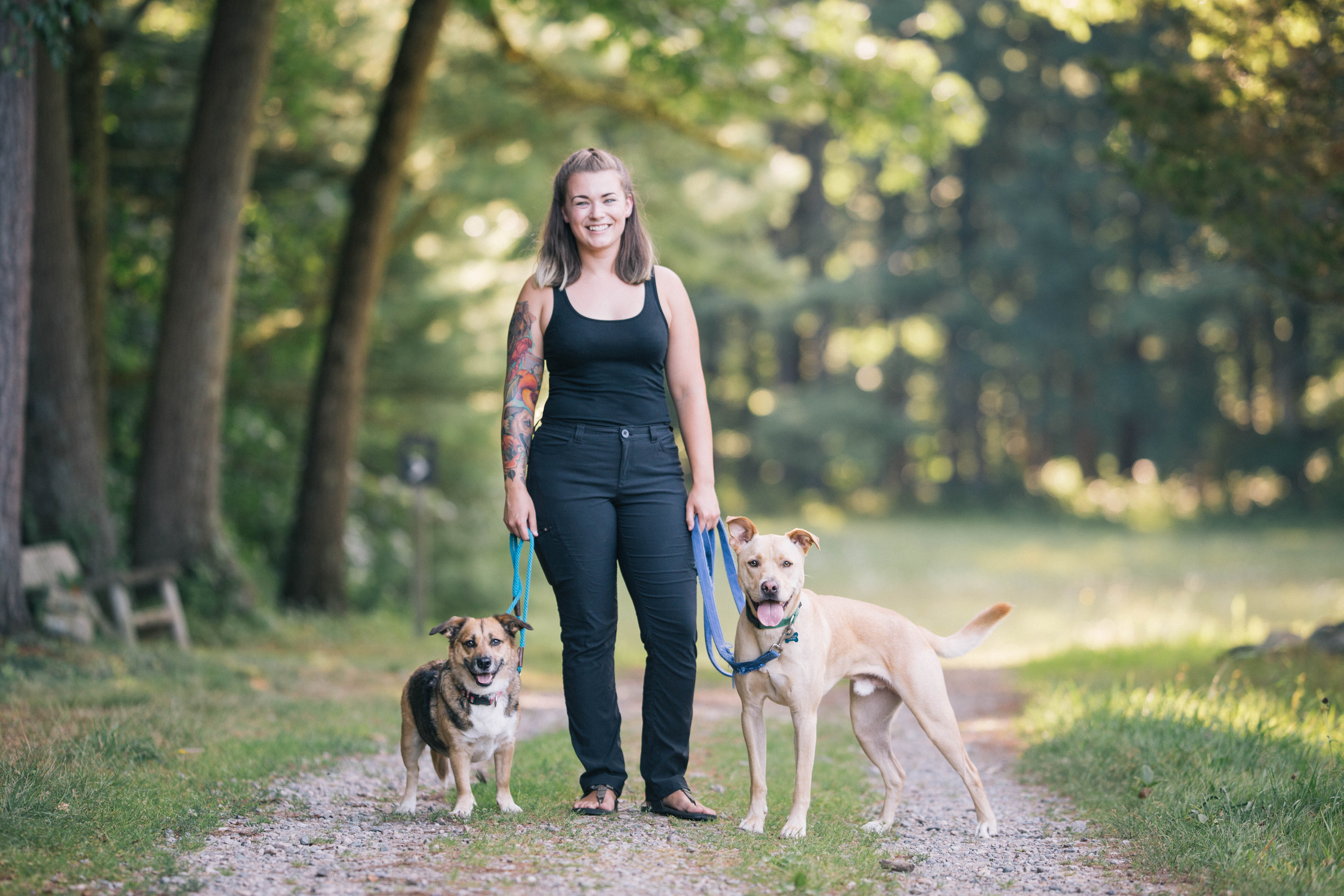 Keen Paws Dog Walker Services canton ma